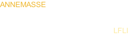 ANNEMASSE                        for MSFS   ANNEMASSE AIRport               LFLI